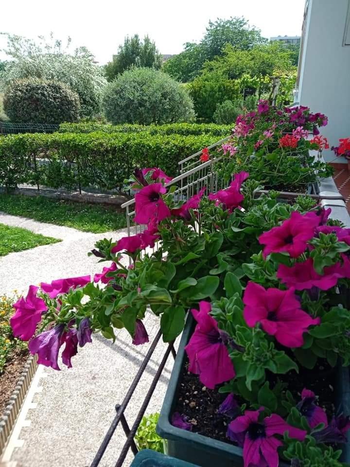 Bed and Breakfast La Cjase Di Pieri E Vilme à Udine Extérieur photo
